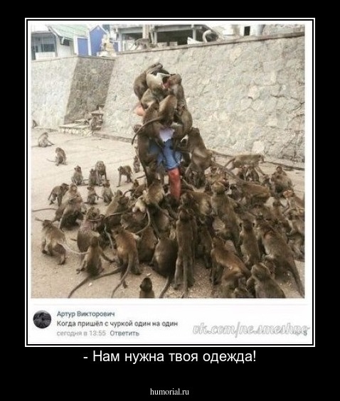 - Нам нужна твоя одежда!