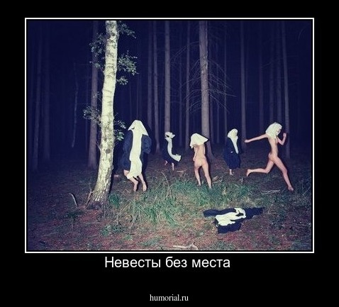 Невесты без места 