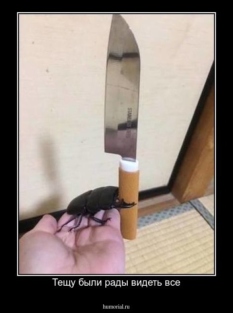 Тещу были рады видеть все