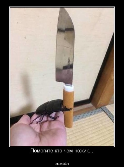 Помогите кто чем ножик...