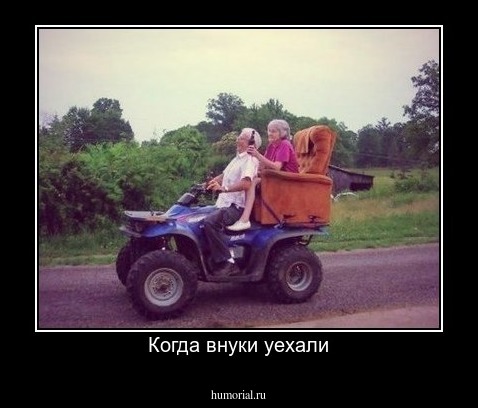 Когда внуки уехали