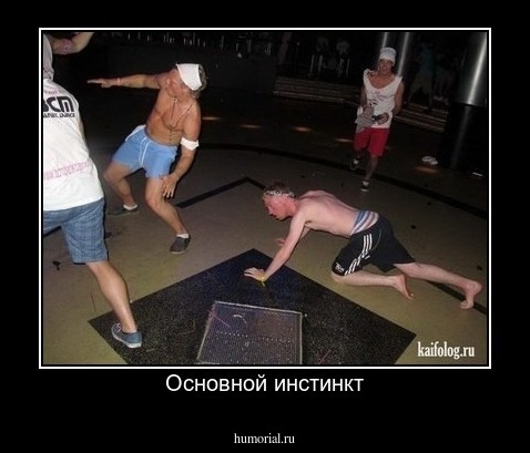 Основной инстинкт