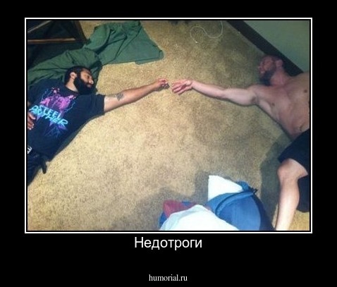 Недотроги