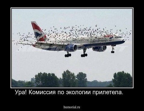 Ура! Комиссия по экологии прилетела.   