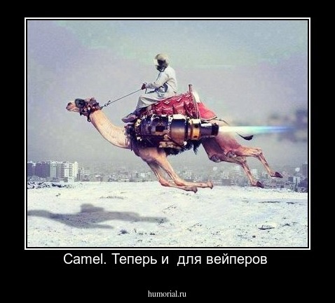 Camel. Теперь и  для вейперов 