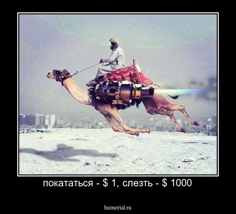 покататься - $ 1, слезть - $ 1000