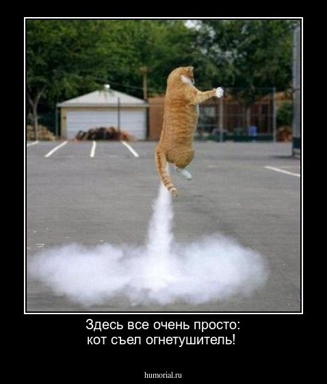 Здесь все очень просто: кот съел огнетушитель! 