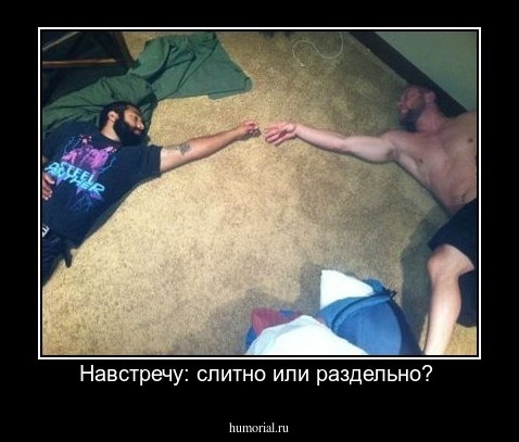 Навстречу: слитно или раздельно? 