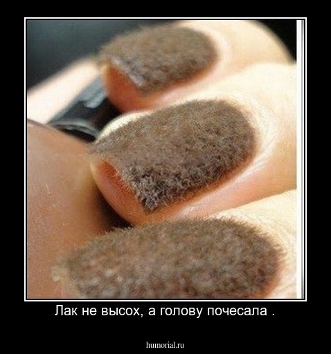 Лак не высох, а голову почесала .