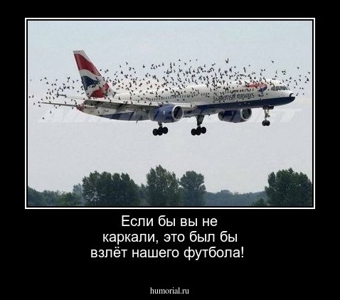 Если бы вы не каркали, это был бы взлёт нашего футбола!
