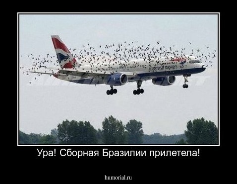 Ура! Сборная Бразилии прилетела!