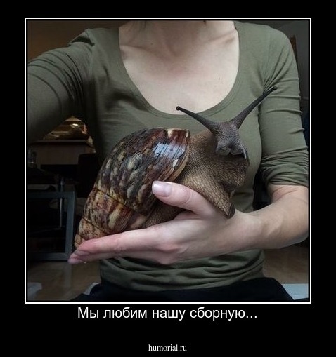 Мы любим нашу сборную...