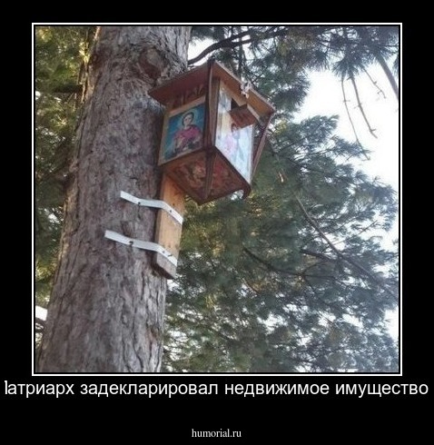 Патриарх задекларировал недвижимое имущество.