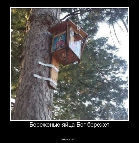 Береженые яйца Бог бережет