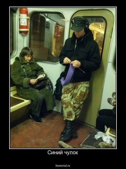 Синий чулок