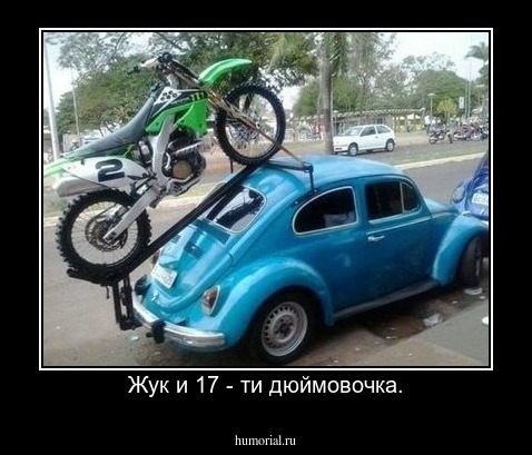 Жук и 17 - ти дюймовочка.