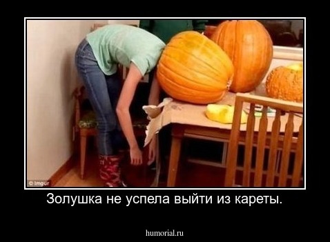 Золушка не успела выйти из кареты.