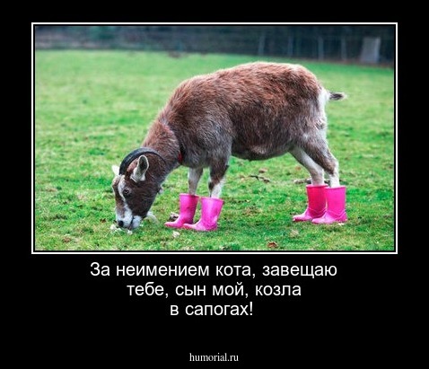 За неимением кота, завещаю тебе, сын мой, козла в сапогах!