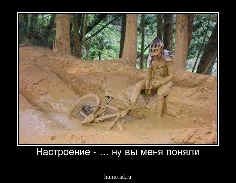 Настроение - ... ну вы меня поняли
