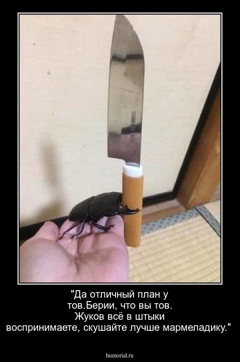 "Да отличный план у тов.Берии, что вы тов. Жуков всё в штыки воспринимаете, скушайте лучше мармеладику."