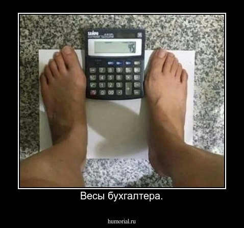 Весы бухгалтера.