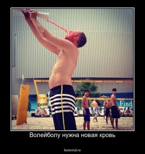 Волейболу нужна новая кровь
