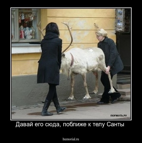 Давай его сюда, поближе к телу Санты 