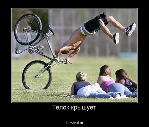Тёлок крышует.