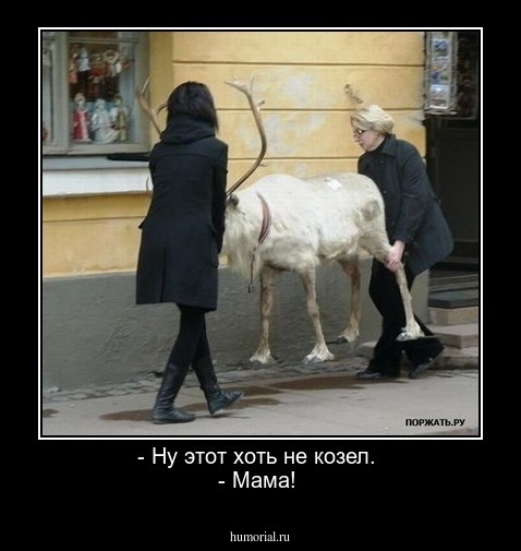 - Ну этот хоть не козел. 
- Мама! 