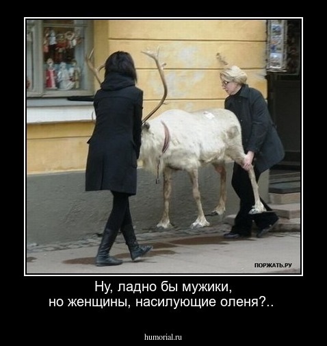 Ну, ладно бы мужики, но женщины, насилующие оленя?..