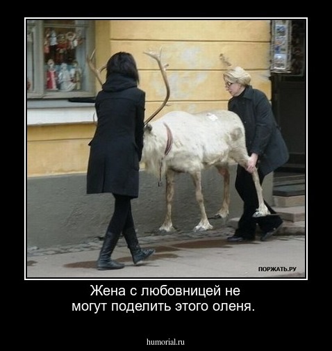 Жена с любовницей не могут поделить этого оленя.