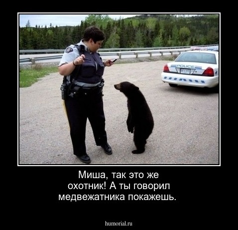 Миша, так это же охотник!  А ты говорил  медвежатника покажешь.