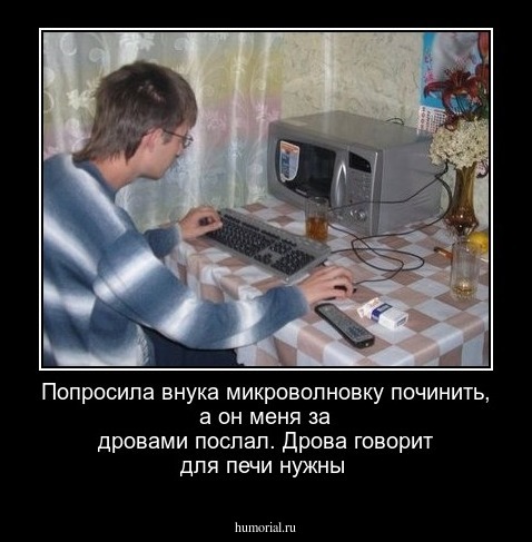 Попросила   внука  микроволновку починить,  а  он меня за дровами послал. Дрова говорит  для  печи нужны