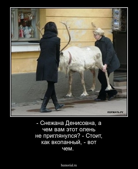 - Снежана Денисовна, а чем вам этот олень не приглянулся? - Стоит, как вкопанный, - вот чем.