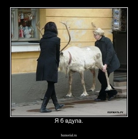 Я б вдула.
