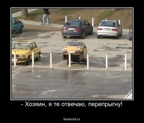 - Хозяин, я те отвечаю, перепрыгну!