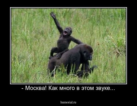 - Москва! Как много в этом звуке...