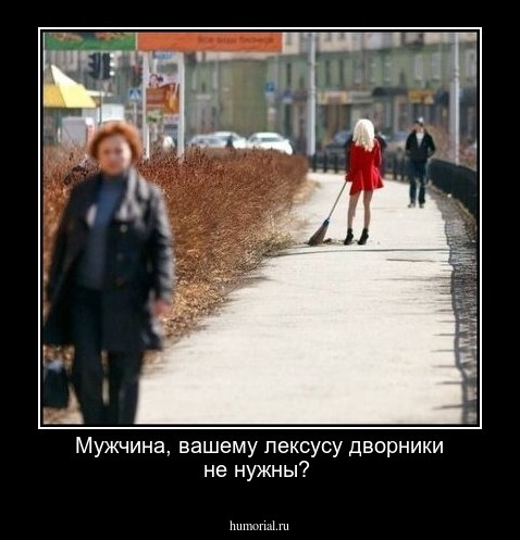 Мужчина, вашему лексусу дворники не нужны?