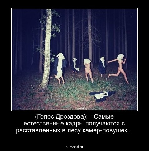 (Голос Дроздова): - Самые естественные кадры получаются с расставленных в лесу камер-ловушек.. 