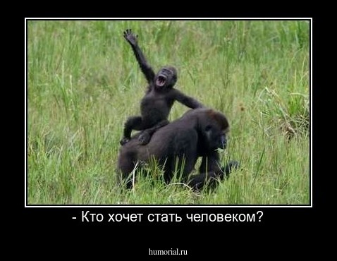 - Кто хочет стать человеком?