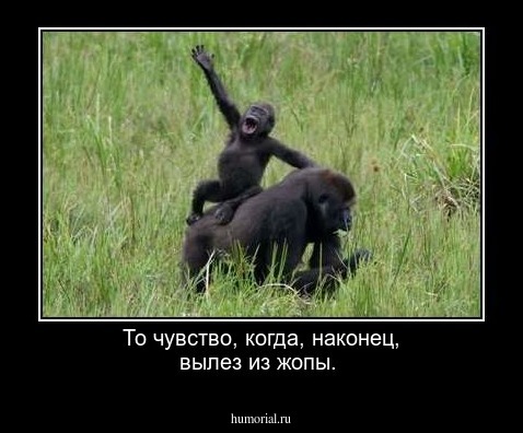 То чувство, когда, наконец, вылез из жопы.