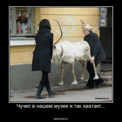 Чучел в нашем музее и так хватает...