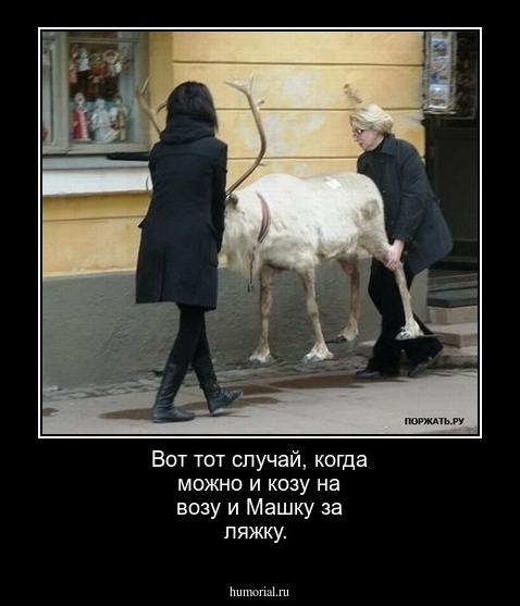 Вот тот случай, когда можно и козу на возу и Машку за ляжку.