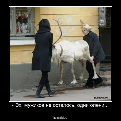 - Эх, мужиков не осталось, одни олени...
