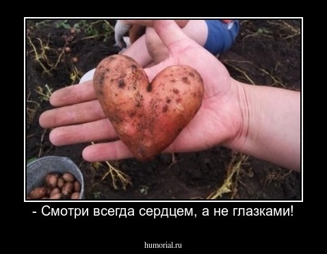 - Смотри всегда сердцем, а не глазками!