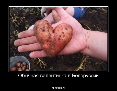 Обычная валентинка в Белоруссии