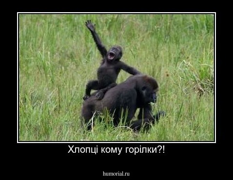 Хлопці кому горілки?!