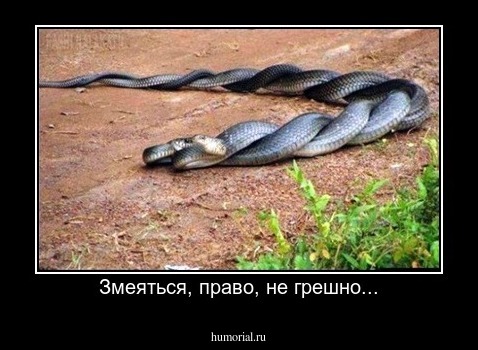 Змеяться, право, не грешно...