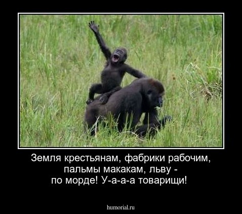 Земля крестьянам, фабрики рабочим, пальмы макакам, льву - по морде! У-а-а-а товарищи!