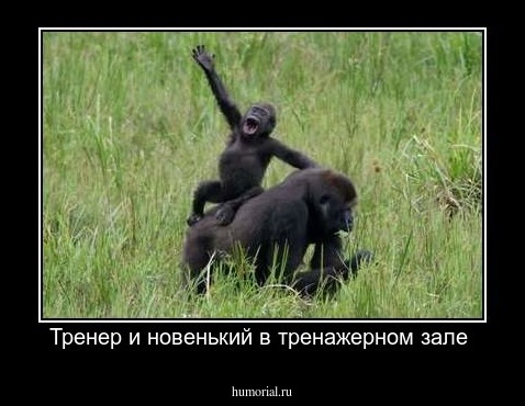 Тренер и новенький в тренажерном зале 